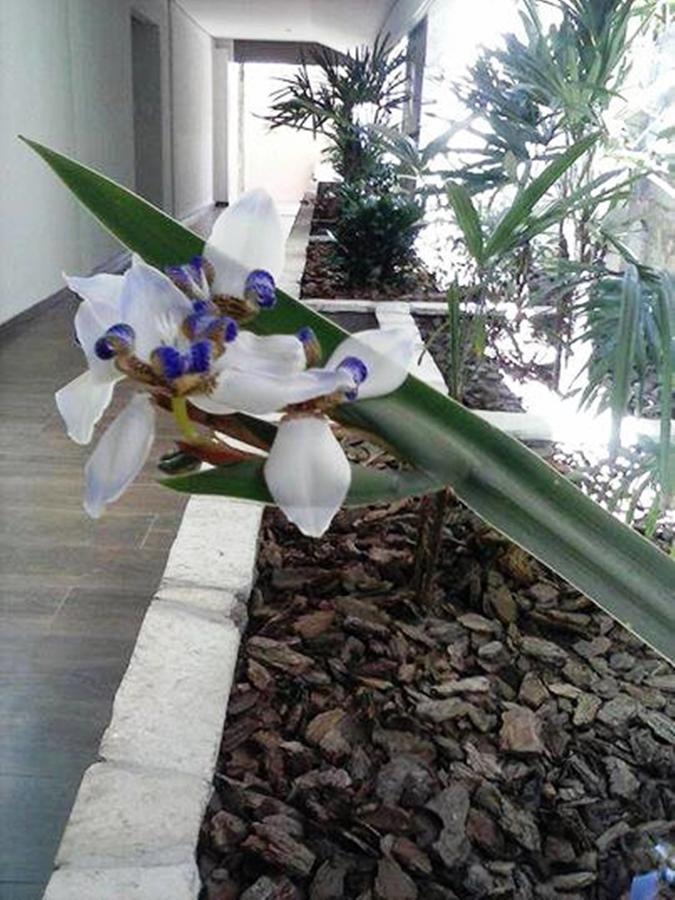 Hotel Luz 3*